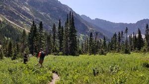 Following the trail along the west side of Bertha Lake
