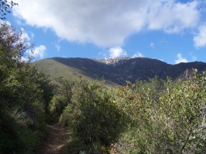 Holy Jim Trail / Santiago Peak