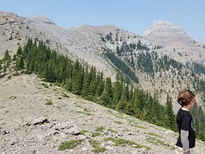 Mount Burns Ridge