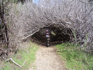 Neat natural tunnel