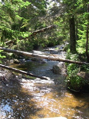 Stream near Indian Falls