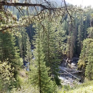 Views of the river along the trail